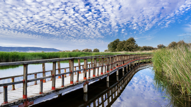 Tablas de Daimiel