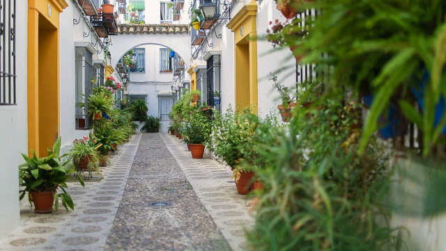 Callejas del Barrio Antiguo 