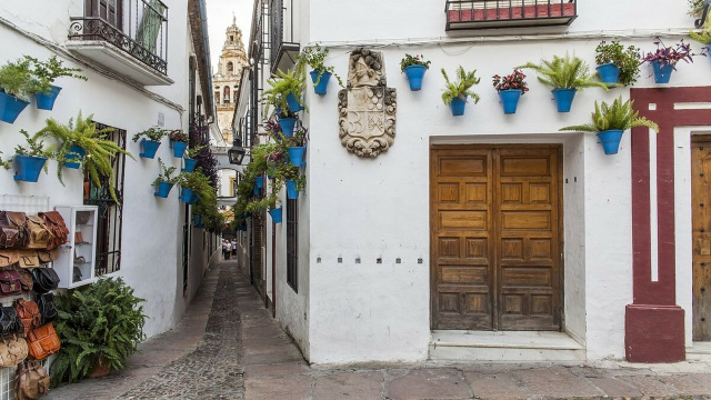 Calleja de las  Flores