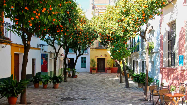 Barrio de Santa Cruz 