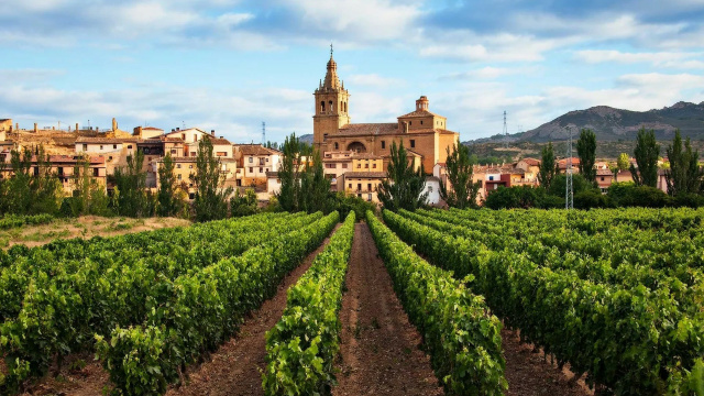 La Rioja y Navarra, Tierras de Vino