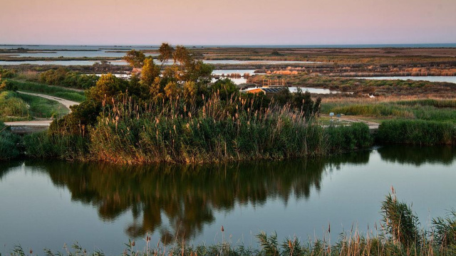 Parque Natural del Delta del Ebro