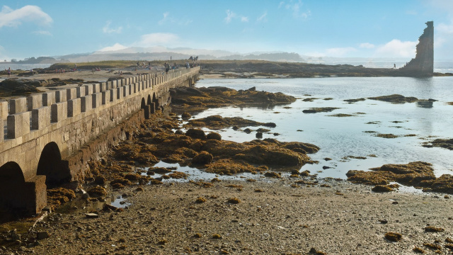 Galicia Gastronómico: Sabores del Mar y de la Tierra