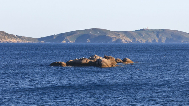 Navegación por Ría de Pontevedra