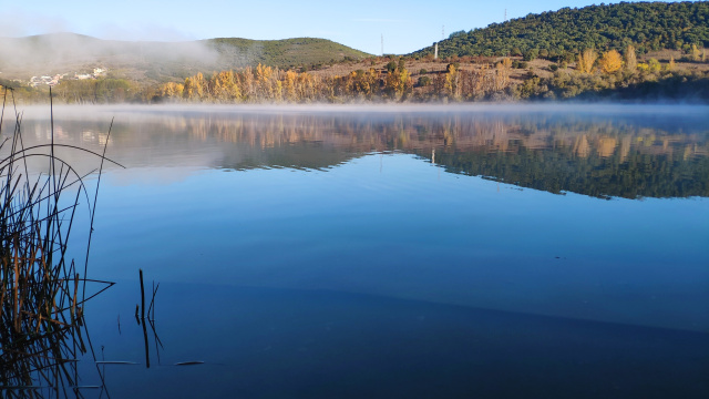 Bodegas del Palacio de Fefiñanes