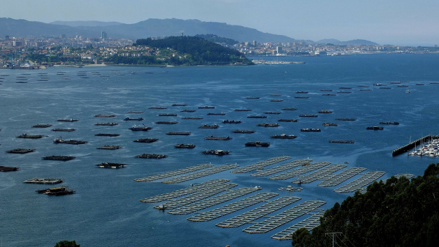 Paseo en barco por la Ría de Vigo