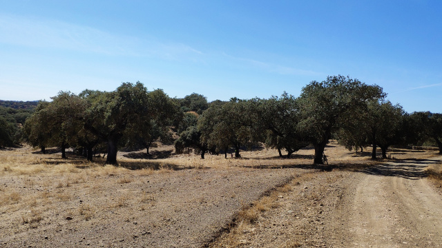 Montefurado y túnel romano