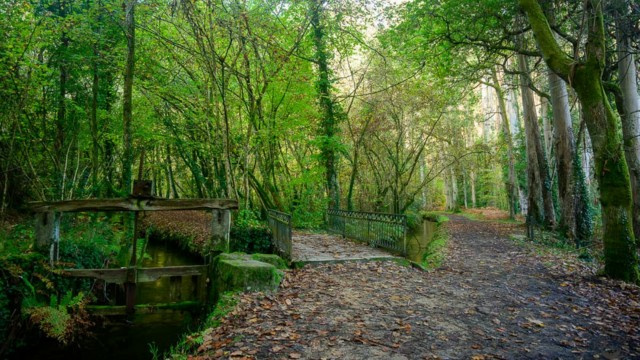 Souto da Retorta / Eucaliptal de Chavín