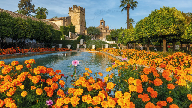 Patios de Córdoba