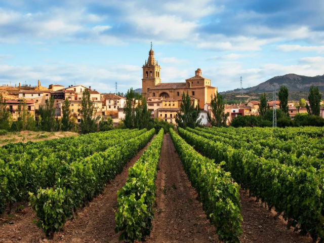 La Rioja y Navarra, Tierras de Vino 2023